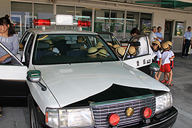 ��ʈ��S����-1